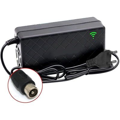 Charger for eBike (29.4V, 2A, RCA) ― DELTAMOBILE