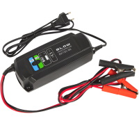 Chargers for AGM batteries 6v/12v- 6A ― DELTAMOBILE